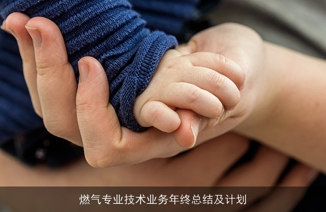 燃气专业技术业务年终总结及计划