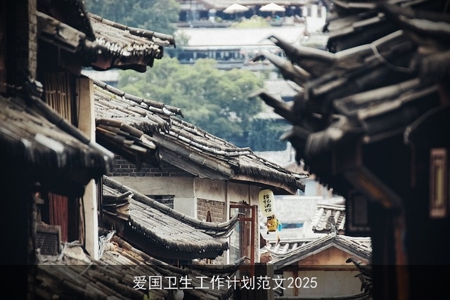 爱国卫生工作计划范文2025