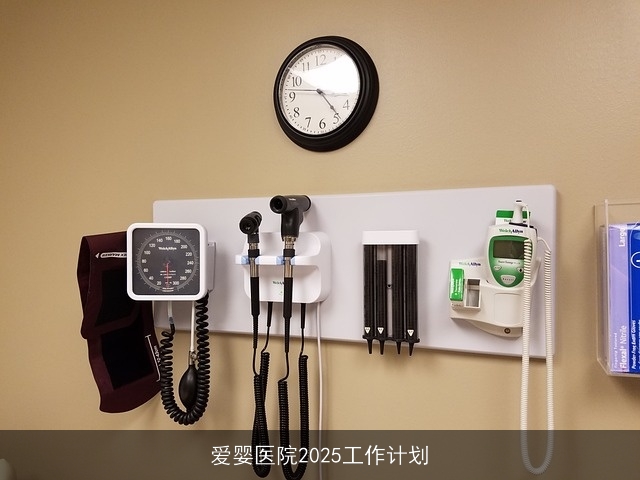 爱婴医院2025工作计划