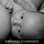 爱婴医院年度工作计划格式的范文