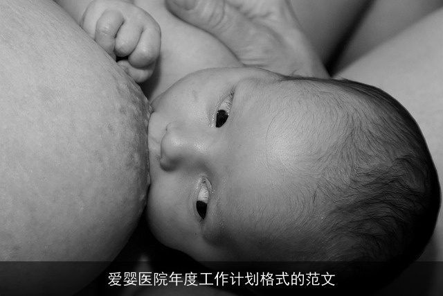 爱婴医院年度工作计划格式的范文