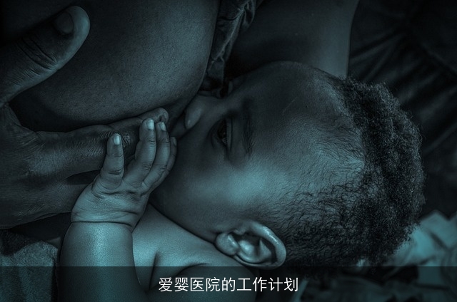 爱婴医院的工作计划
