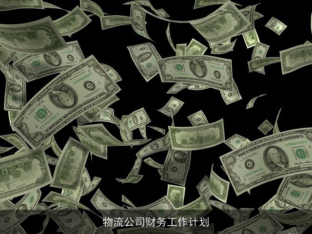 物流公司财务工作计划