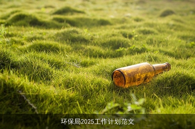 环保局2025工作计划范文