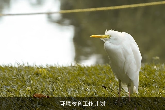 环境教育工作计划