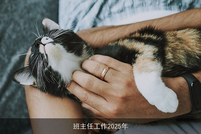 班主任工作2025年