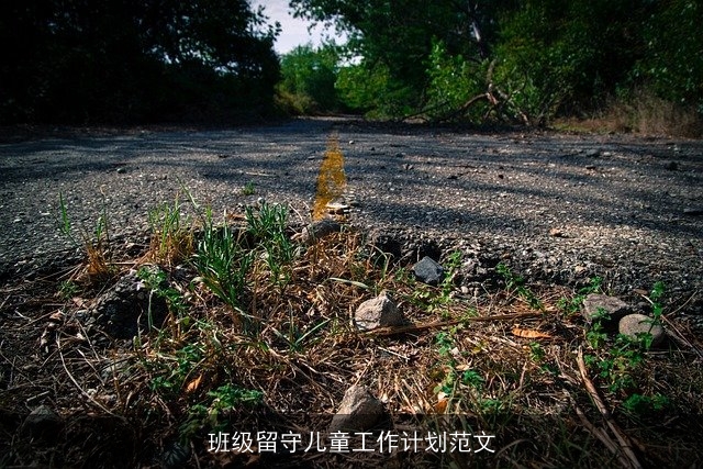 班级留守儿童工作计划范文