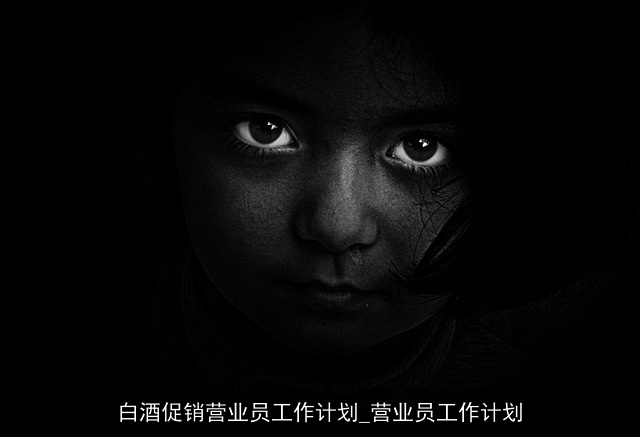 白酒促销营业员工作计划_营业员工作计划