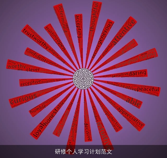 研修个人学习计划范文