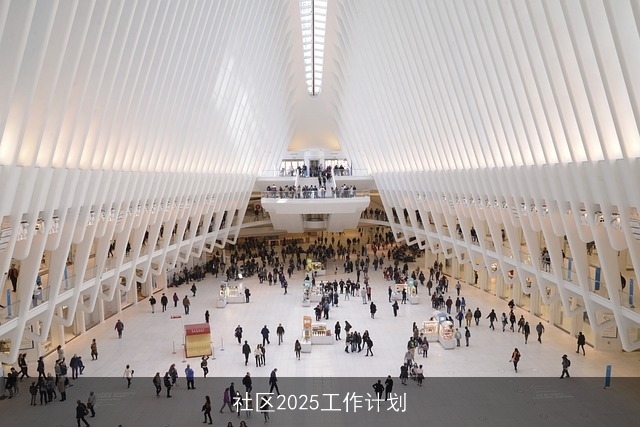 社区2025工作计划