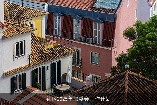 社区2025年居委会工作计划