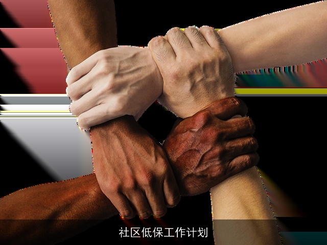社区低保工作计划