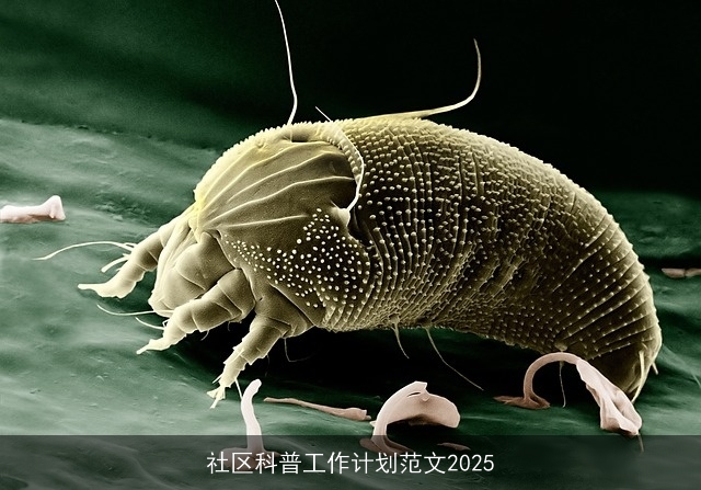 社区科普工作计划范文2025