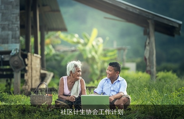 社区计生协会工作计划