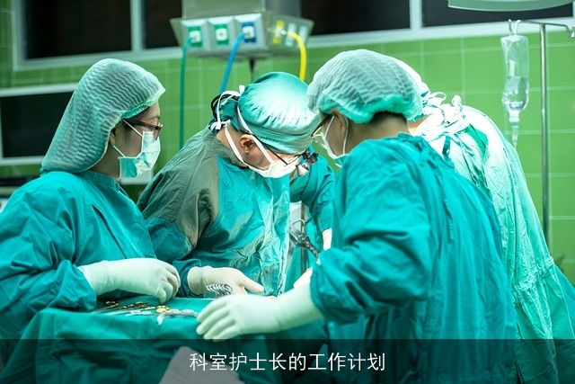 科室护士长的工作计划