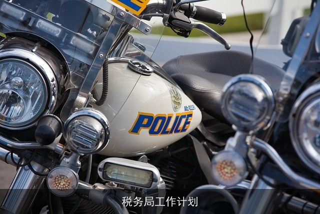 税务局工作计划