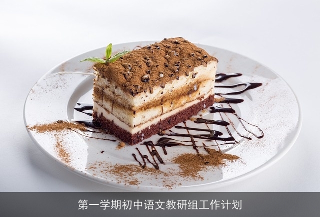 第一学期初中语文教研组工作计划