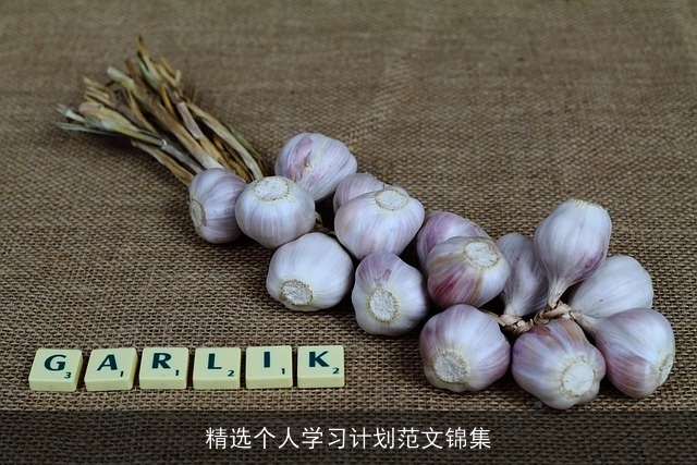 精选个人学习计划范文锦集