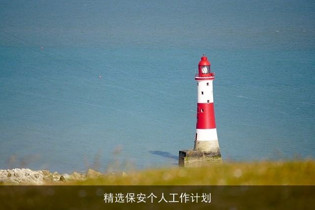 精选保安个人工作计划