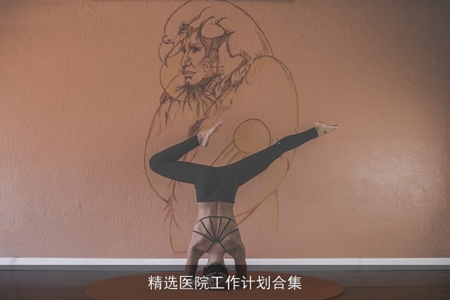 精选医院工作计划合集