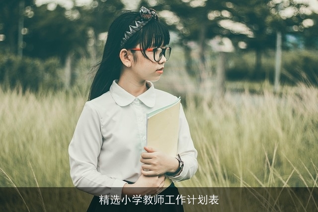 精选小学教师工作计划表