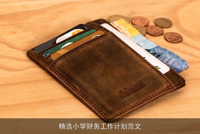 精选小学财务工作计划范文