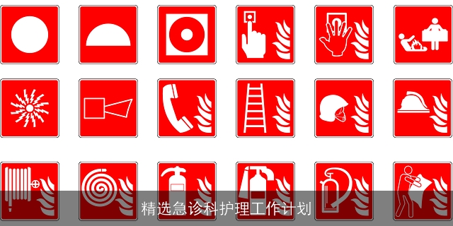 精选急诊科护理工作计划