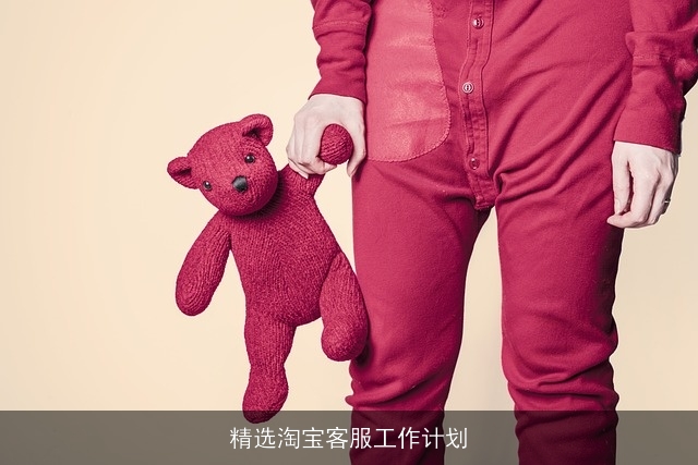精选淘宝客服工作计划