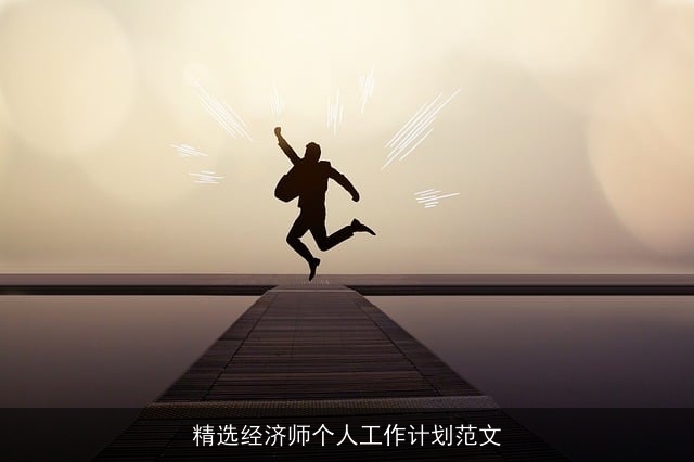 精选经济师个人工作计划范文