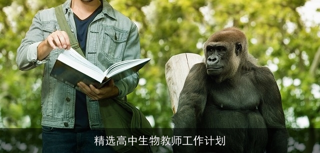 精选高中生物教师工作计划