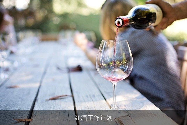 红酒工作计划