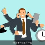 经贸审计处工作计划