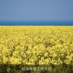 综治年度工作计划