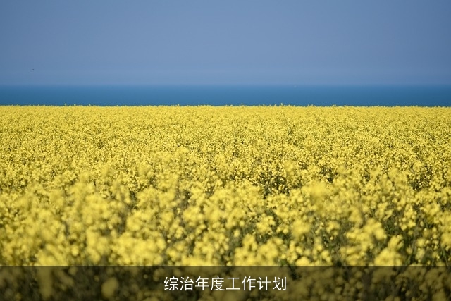 综治年度工作计划