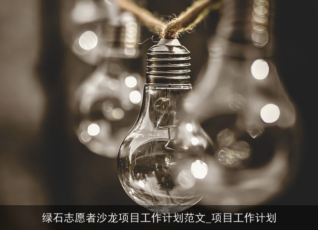 绿石志愿者沙龙项目工作计划范文_项目工作计划