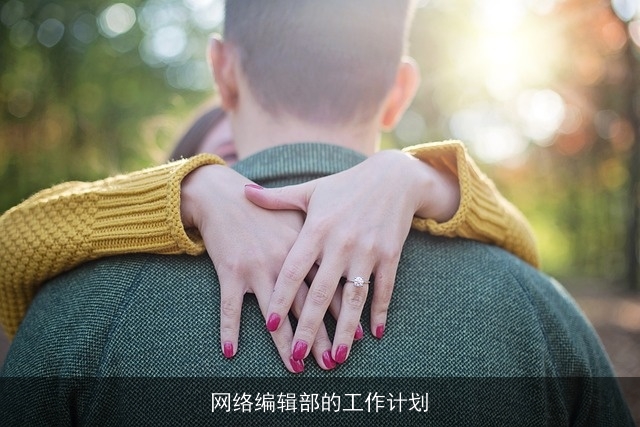 网络编辑部的工作计划