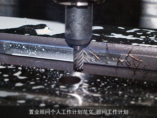 置业顾问个人工作计划范文_顾问工作计划