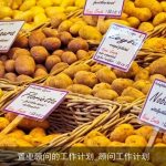 置业顾问的工作计划_顾问工作计划