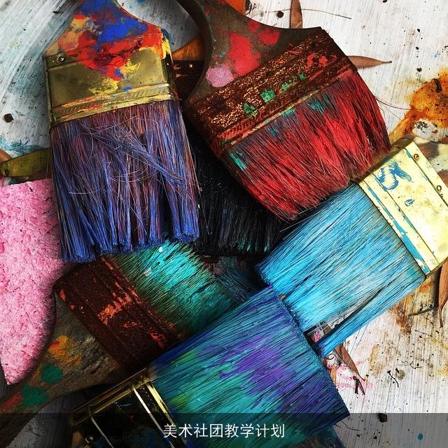 美术社团教学计划
