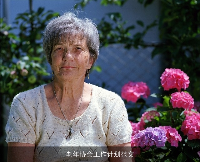 老年协会工作计划范文