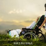 药师工作计划格式