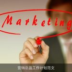 营销总监工作计划范文