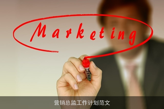 营销总监工作计划范文