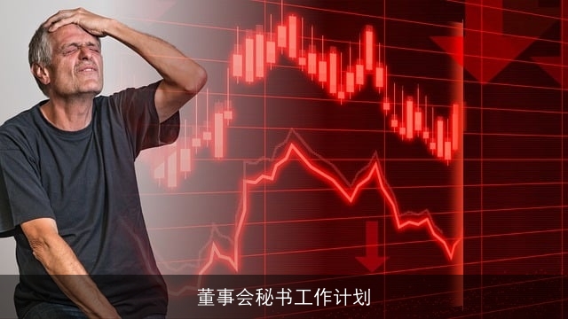 董事会秘书工作计划