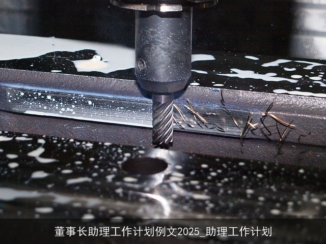 董事长助理工作计划例文2025_助理工作计划