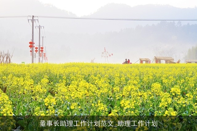 董事长助理工作计划范文_助理工作计划