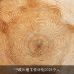 行政年度工作计划2025个人