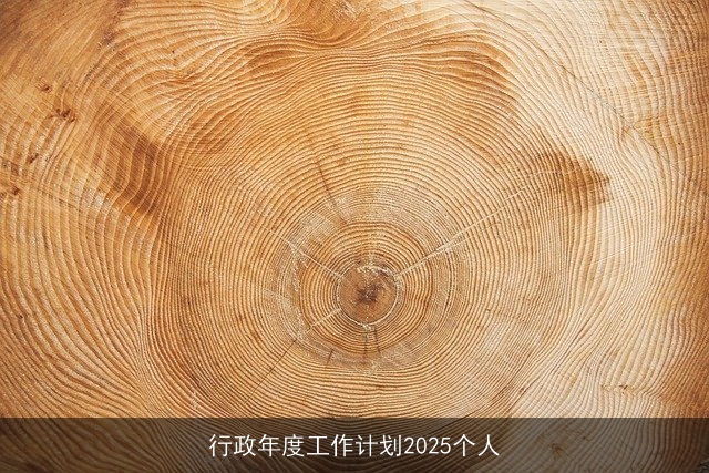 行政年度工作计划2025个人