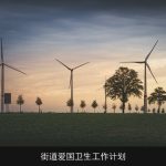 街道爱国卫生工作计划