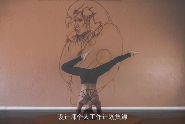 设计师个人工作计划集锦